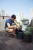 Комплект кашпо CYLINDER PLANTERS - 3 шт. (S+M+L) Комплект кашпо CYLINDER PLANTERS - 3 шт. (S+M+L)